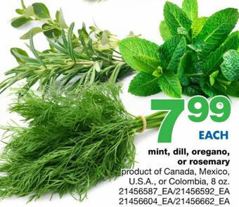 Wholesale Club Mint, Dill, Oregano, or Rosemary offer