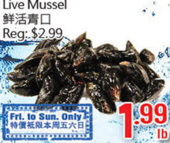 Hong Tai Supermarket Live Mussel offer