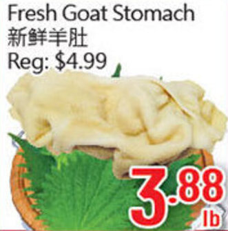 Fresh Goat Stomach