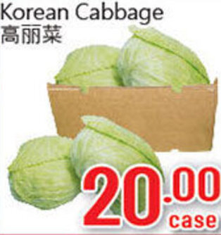 Korean Cabbage