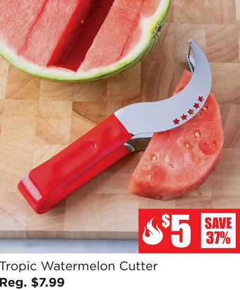 Kitchen Stuff Plus Tropic Watermelon Cutter offer