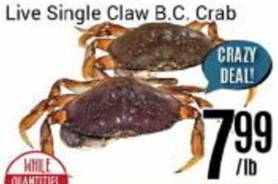 Nations Fresh Foods Live Single Claw B.C. Crab offer