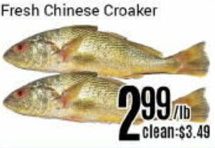 Nations Fresh Foods Fresh Chinese Croaker offer
