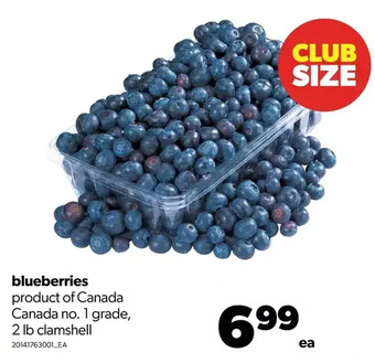 Real Canadian Superstore Blueberries offer