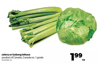 Real Canadian Superstore Celery or iceberg lettuce offer