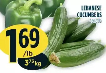 Marché Adonis Lebanese cucumbers offer