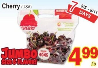 T&T Supermarket Cherry (USA) offer