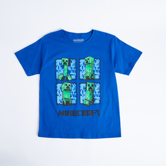 Giant Tiger Boy's licensed minecraft t-shirt offer