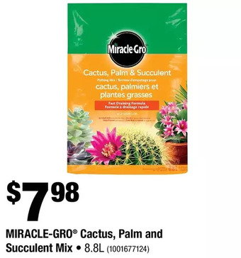 Home Depot Miracle-gro cactus, palm and succulent mix offer