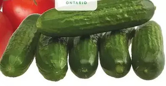 Giant Tiger Mini cucumbers offer