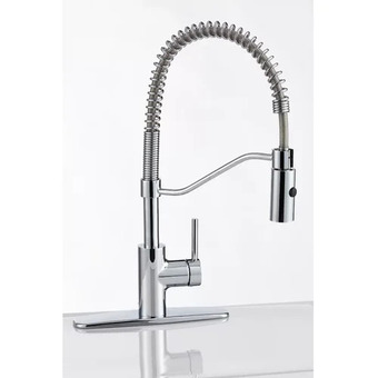 Canadian Tire Danze jasper pull-down kitchen faucet offer