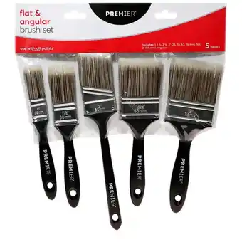Canadian Tire Premier mixed sizes paint brushes offer