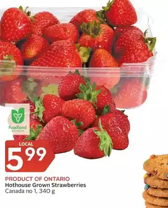 Foodland Hothouse grown strawberries offer