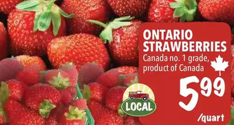 Farm Boy Ontario strawberries offer