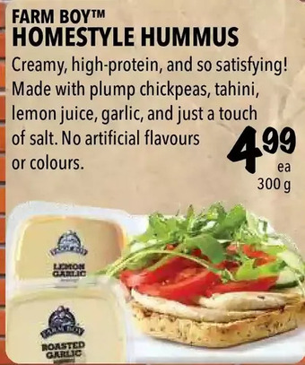 Farm Boy Farm boy home style hummus offer