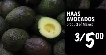 Farm Boy Haas avocados offer