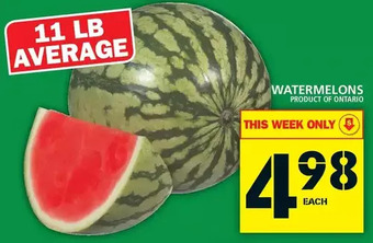 Food Basics Watermelons offer