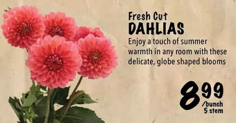Farm Boy Fresh cut dahlias offer