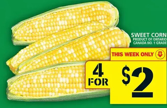 Food Basics Sweet corn offer