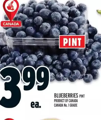 Metro Blueberries offer