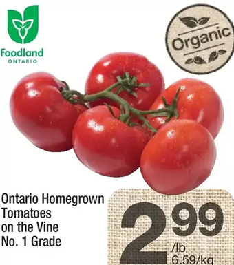 Highland Farms Ontario homegrown tomatoes on the vine offer