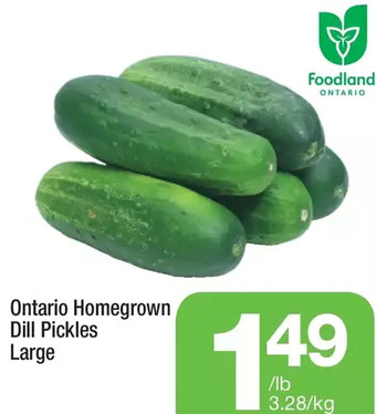 Highland Farms Ontario homegrown dill pickles offer