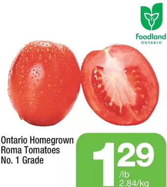 Highland Farms Ontario homegrown roma tomatoes offer