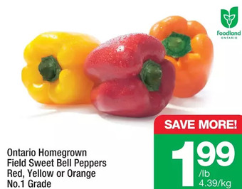 Highland Farms Ontario homegrown field sweet bell peppers offer