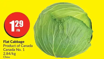 FreshCo Flat cabbage offer