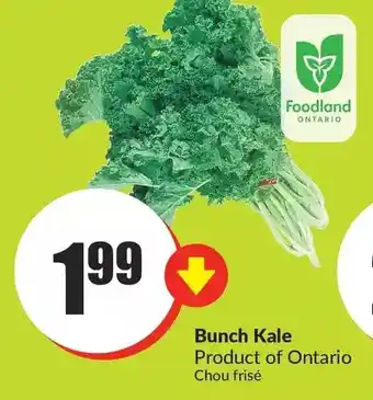 FreshCo Bunch kale offer