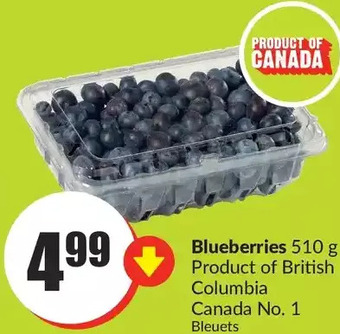 FreshCo Blueberries offer