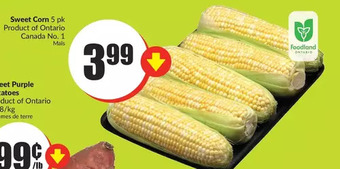 FreshCo Sweet corn offer