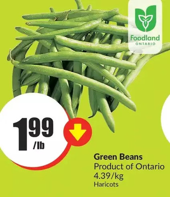 FreshCo Green beans offer