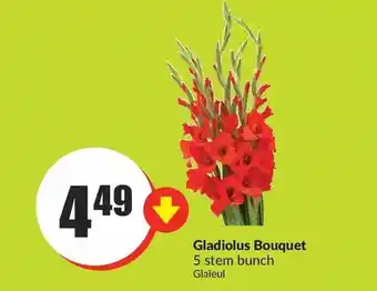 FreshCo Gladiolus bouquet offer