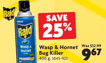 Home Hardware Wasp & hornet bug killer offer