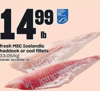 Loblaws Fresh msc icelandic haddock or cod fillets offer