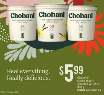 Loblaws Chobani greek yogurt offer