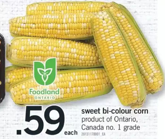 Fortinos Sweet bi-colour corn offer