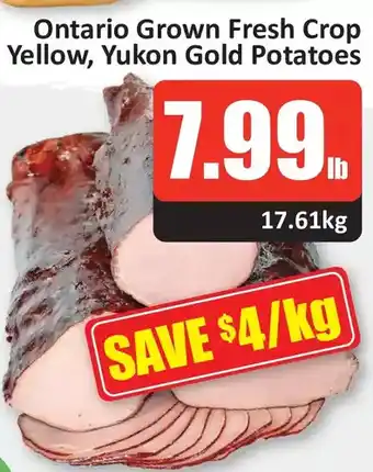 Starsky Ontario grown fresh crop yellow, yukon gold potatoes offer