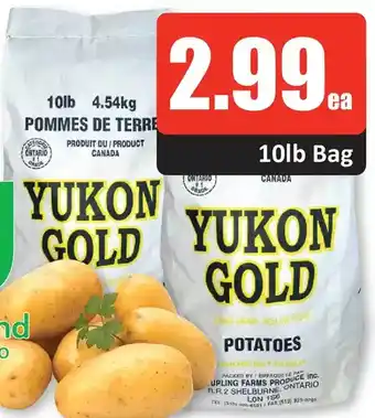 Starsky Yukon gold offer