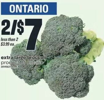 Independent Grocer Extra large broccoli offer