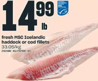 Independent Grocer Fresh msc icelandic haddock or cod fillets offer