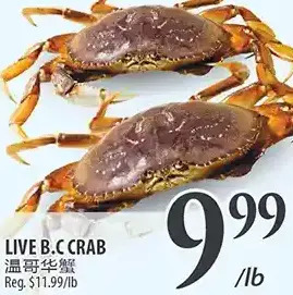 Al Premium Food Mart Live b.c crab offer