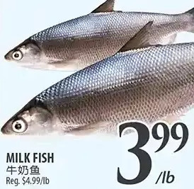 Al Premium Food Mart Milk fish offer