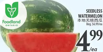 Al Premium Food Mart Seedless watermelon offer