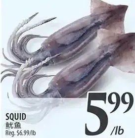 Al Premium Food Mart Squid offer
