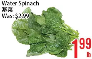 Bestco Food Mart Water spinach offer