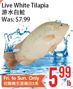 Bestco Food Mart Live white tilapia offer