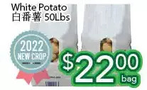 Ample Food Market White potato offer