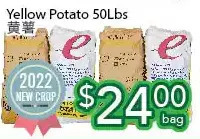 Ample Food Market Yellow potato offer